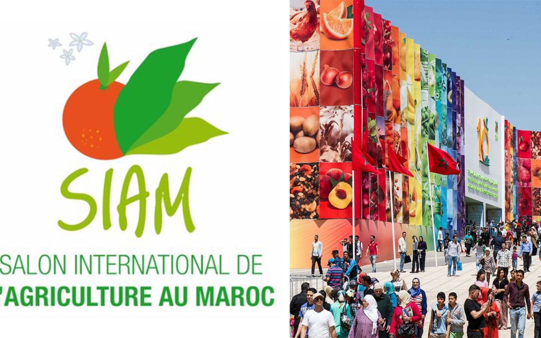 exhibition at the SIAM MEKNES – Marocco