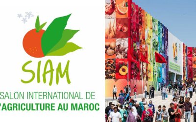 exhibition at the SIAM MEKNES – Marocco